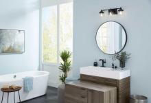 PROG_Hinton_Matte_Black_Bathroom_RS_daytime_on_Retouching _plate_appshot.jpg